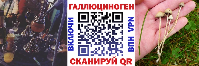 где продают   Давлеканово  Галлюциногенные грибы мицелий 